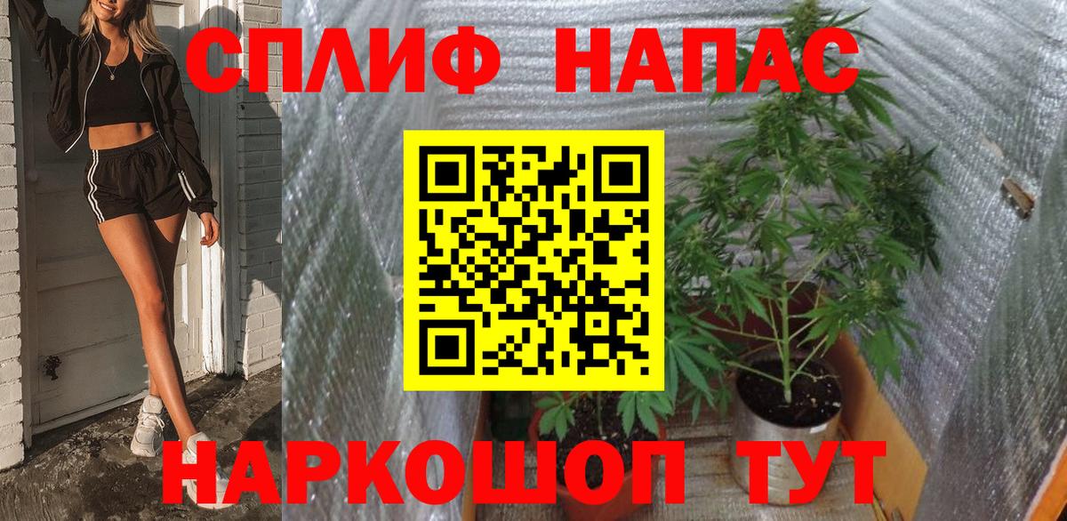 Бошки Шишки конопля Кизилюрт